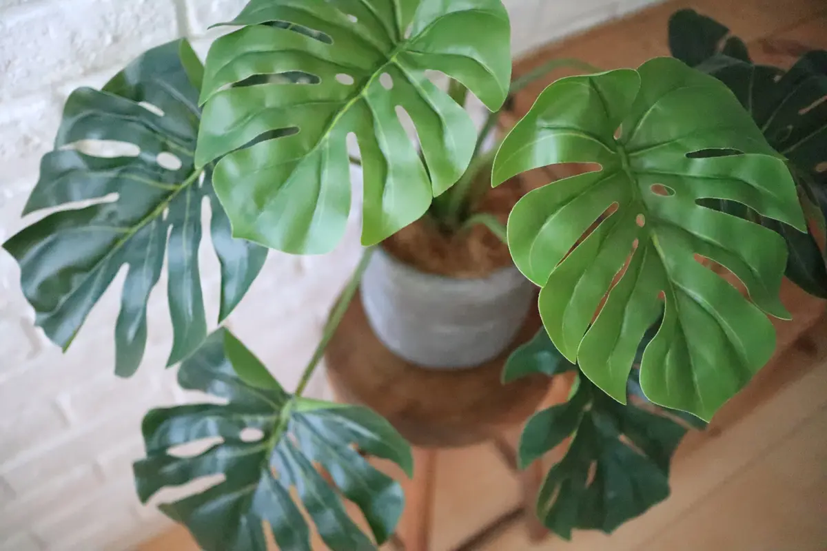 観葉植物造花ニトリ フェイクグリーン ユッカ HT