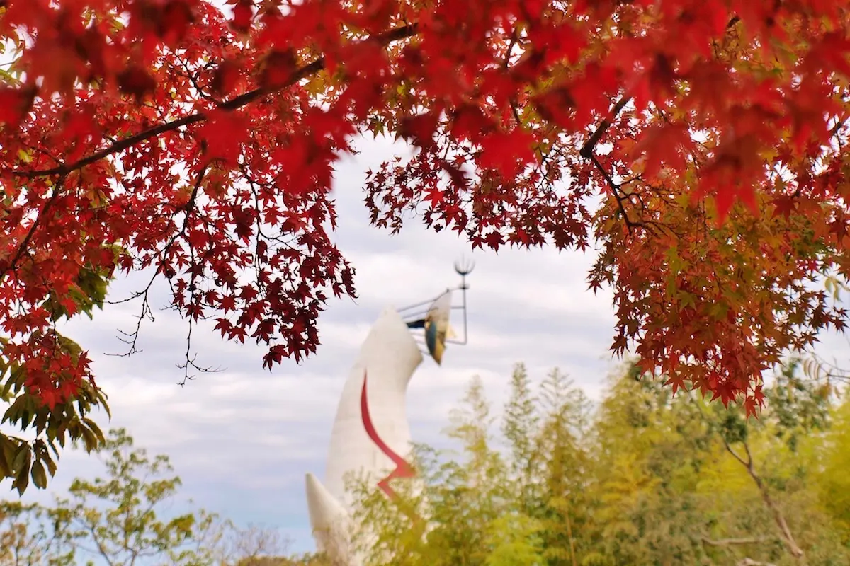 紅葉「い・ろ・は」 大切な想い出。秋 紅葉「い・ろ・は」 大切な想い出。秋