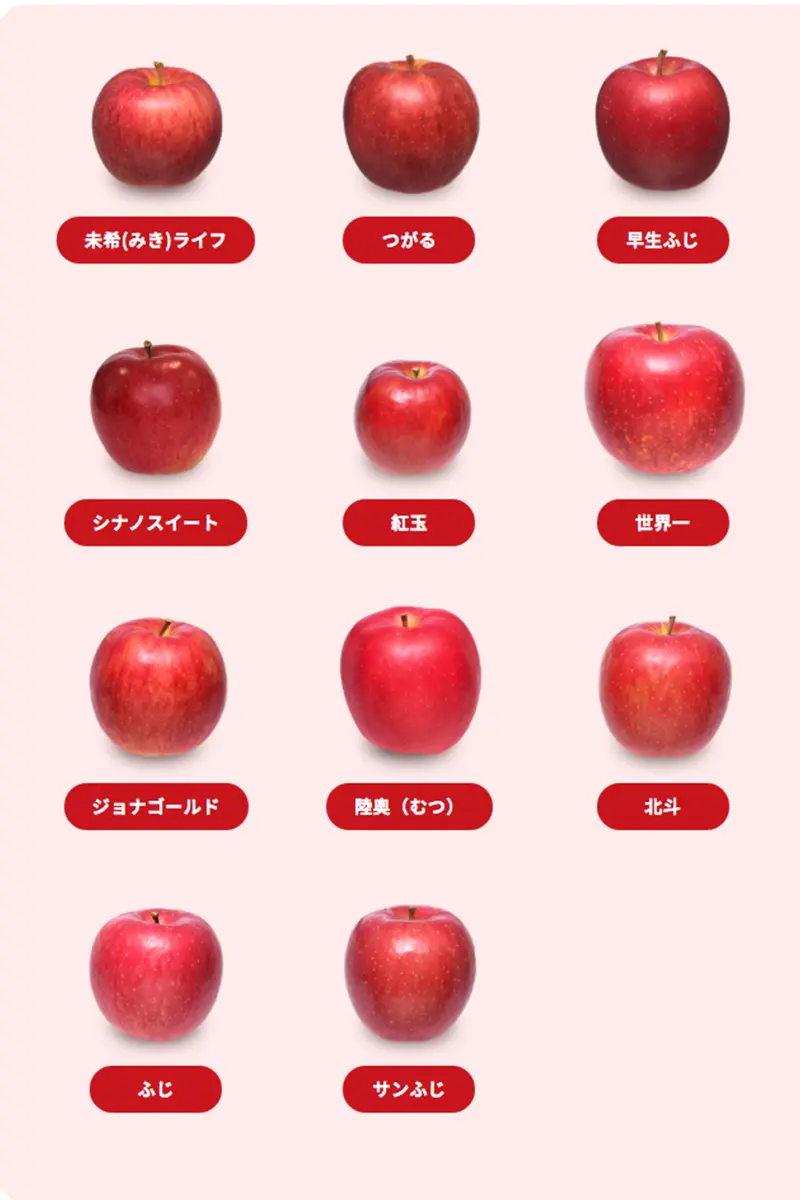 青森りんご 紅玉 訳あり 酸味が強い香りもよく生のまま食べると甘酸っぱくて濃厚な味わい 
10㎏約48個 変動あり【6149】 青森りんご 紅玉 訳あり 酸味が強い香りもよく生のまま食べると