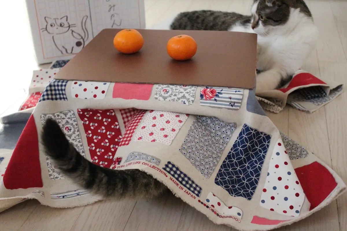 ニャンスタ映え 必至 猫用ベッド アイテムはプレゼントにもぴったり Prettyonline