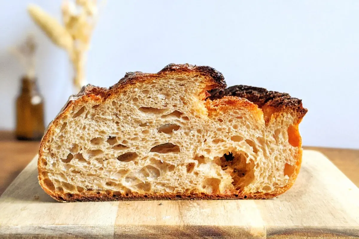 甲子園口】『Marumeri BREAD』天然酵母パンの生地の旨味を噛みしめる