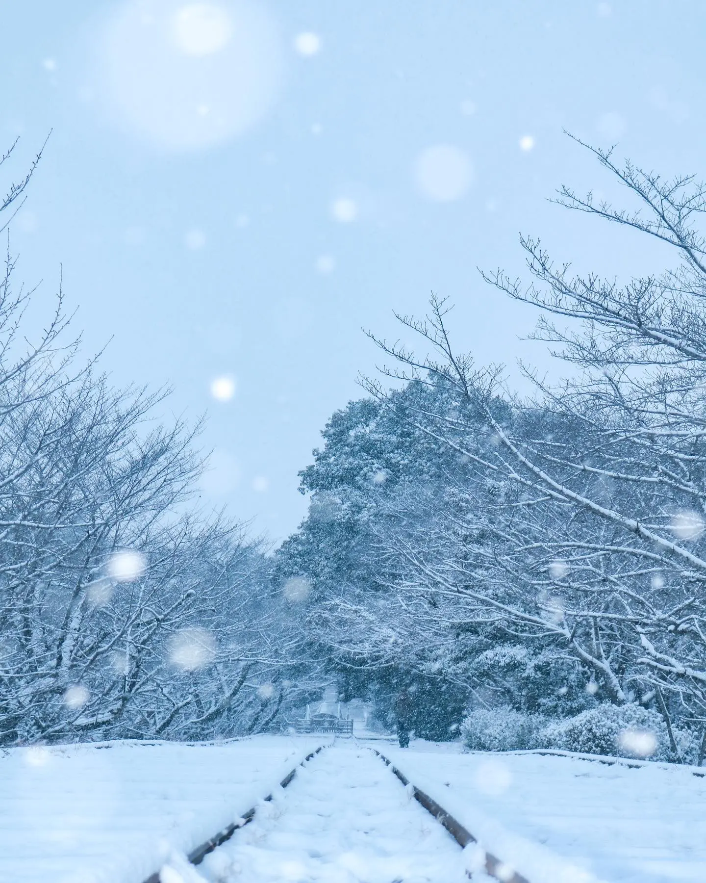 白嶺　雪景色 京都】雪景色が似合う京都の絶景スポット5選！雪が降ったら