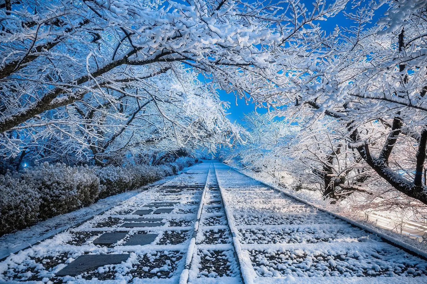 雪景色 京都】雪景色が似合う京都の絶景スポット5選！雪が降ったら