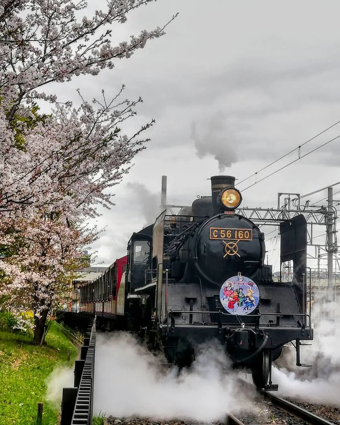 京都】電車の窓から見える桜スポット！移動しながらお花見しよう