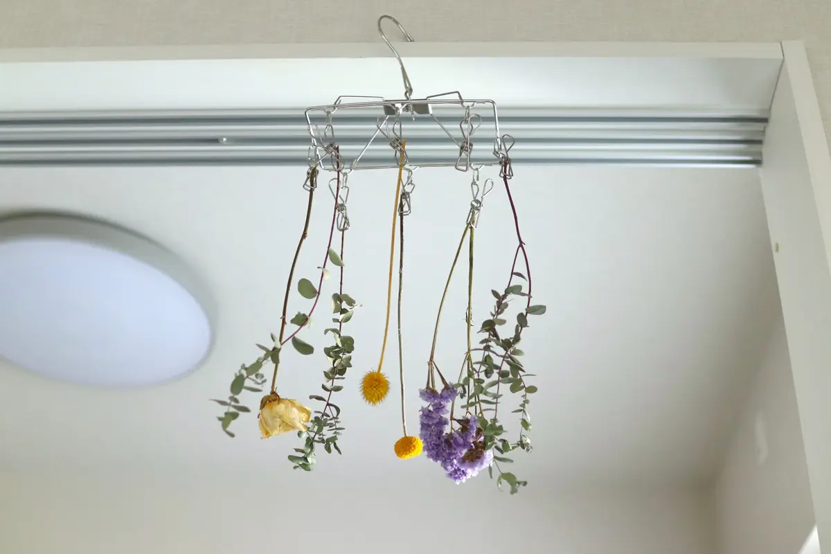ドライフラワーの吊るし方 上手に乾燥させる方法と便利アイテム Prettyonline