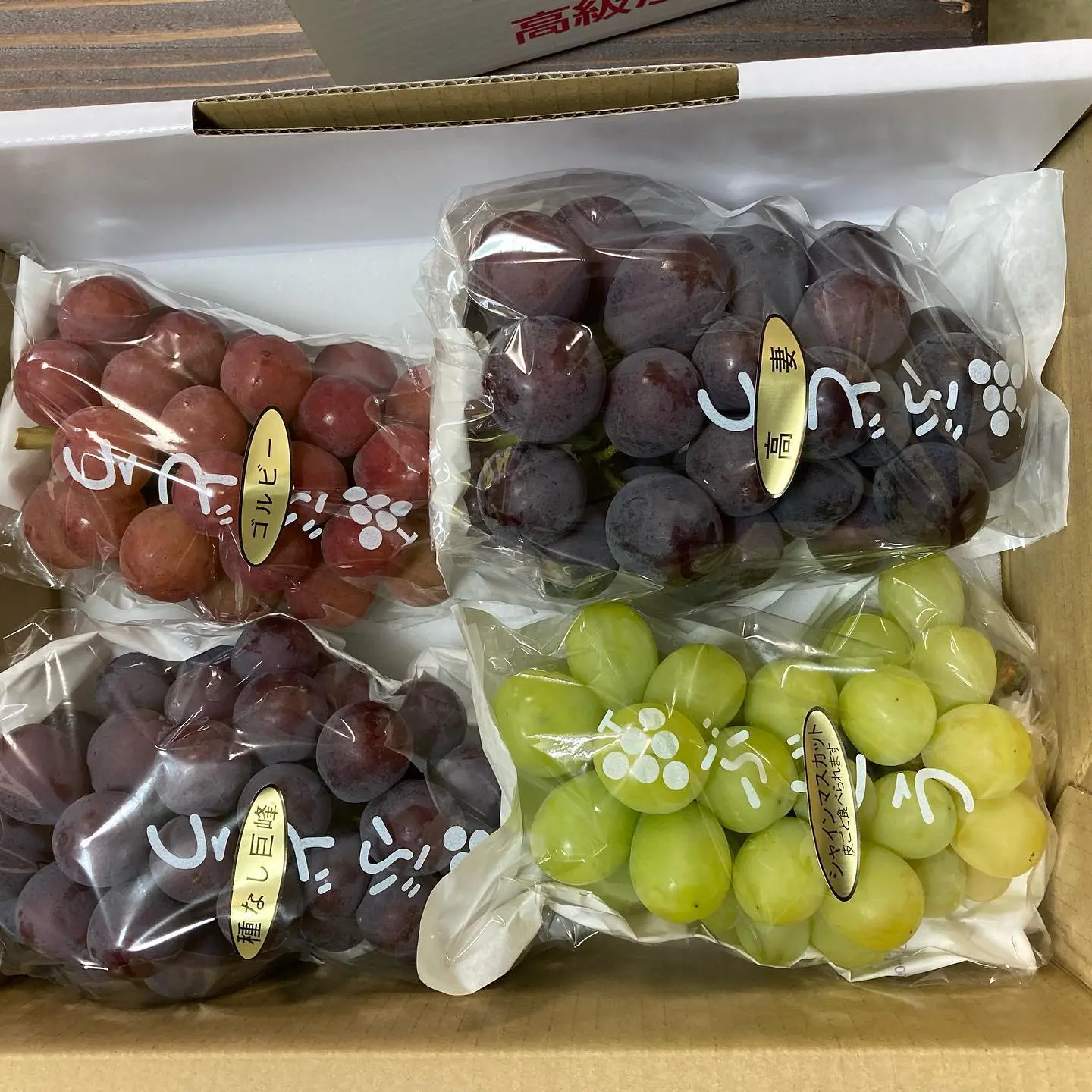 公の場での発言・インタビュー報道記録