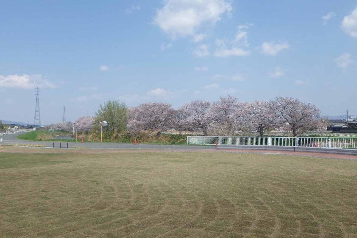 ともぱたわらもと