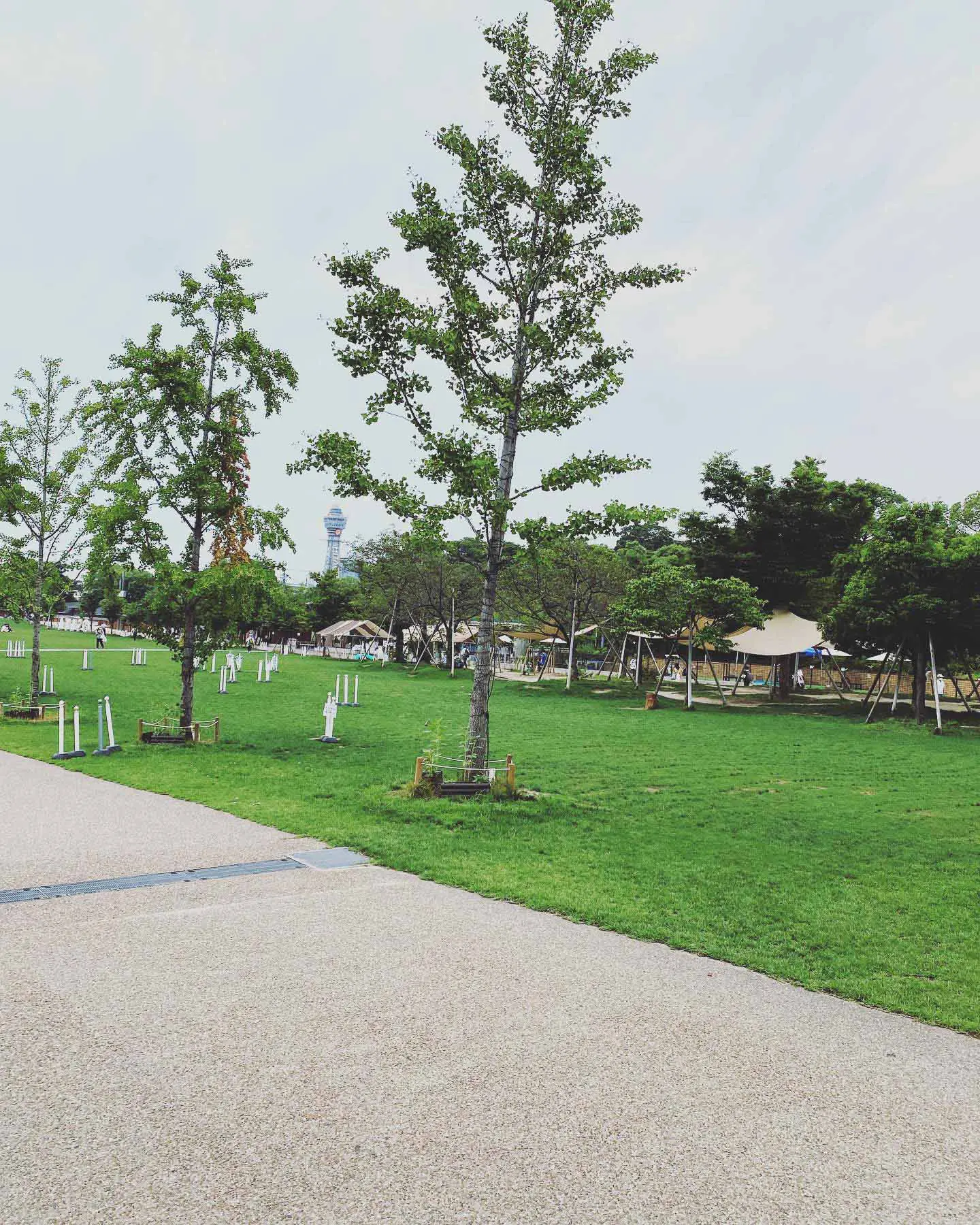 大阪】ピクニックが楽しめる公園10選！おしゃピクやデートにも
