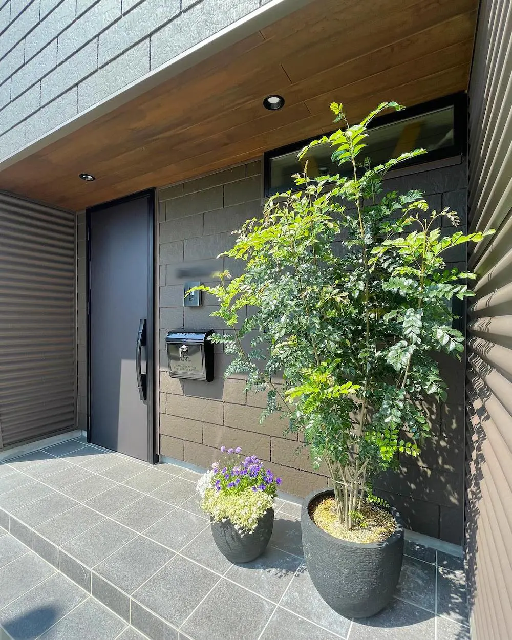 寒さに強い観葉植物15選！冬越しのコツから玄関や屋外に置ける品種も 