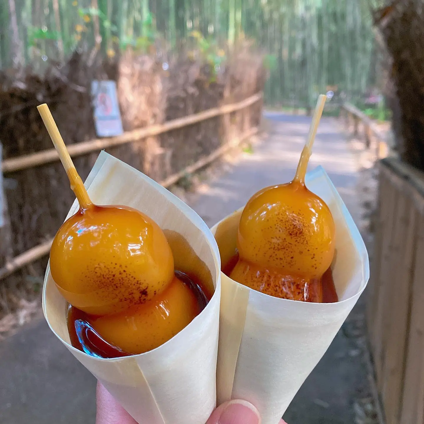 みたらし 団子 京都(01)