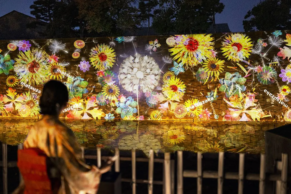 大注目 京都・二条城がライトアップ！幻想的な「桜×日本の伝統文化 鉢・プランター