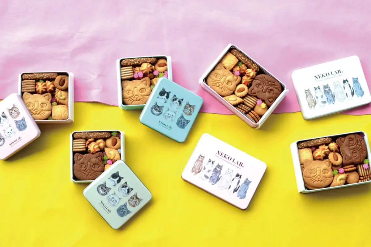 京都】春限定デザインの猫クッキー缶をそろえたポップアップ登場