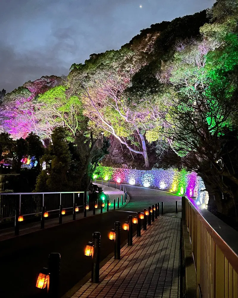 尼崎市】つかしんでお花見しませんか？「夜桜ライトアップ」が3