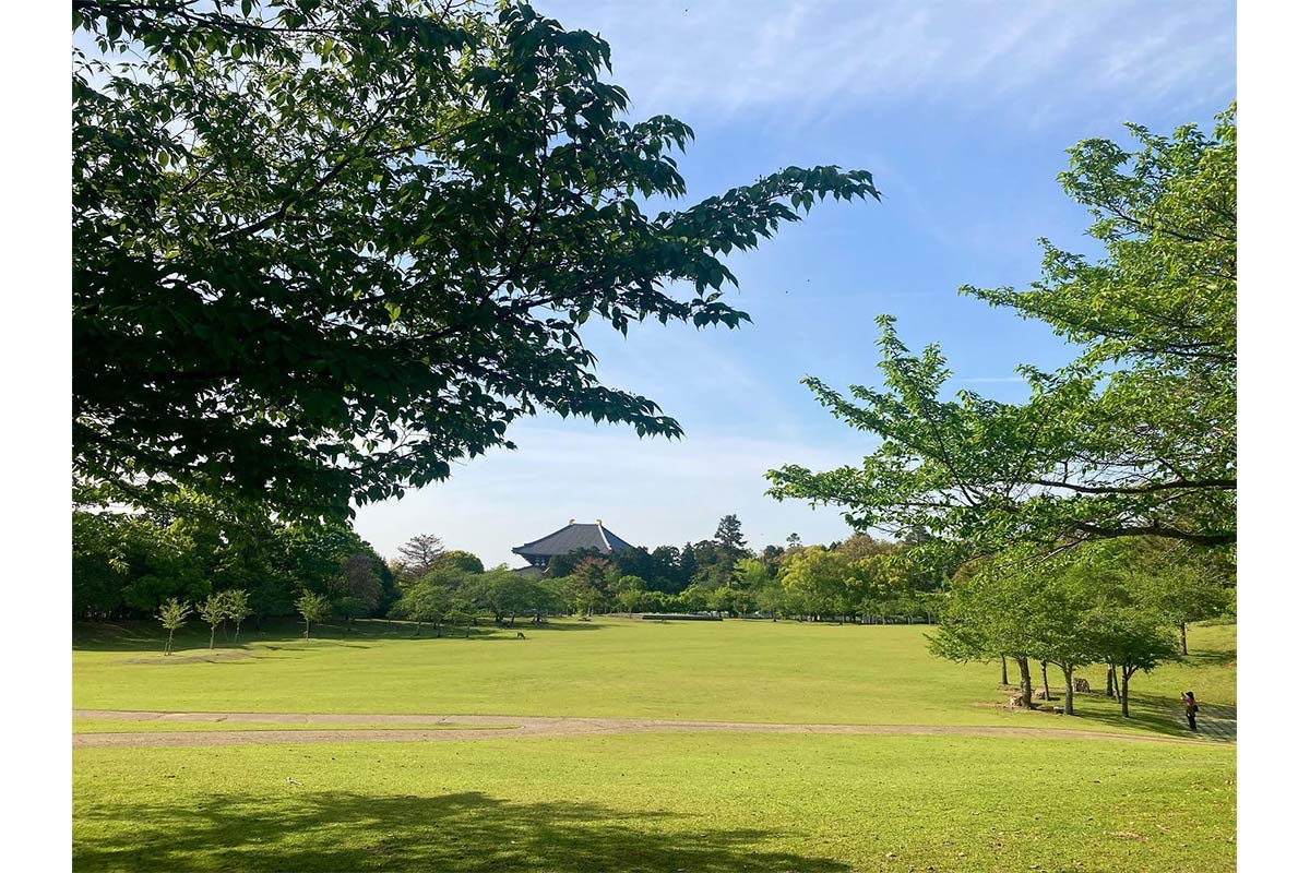 奈良公園