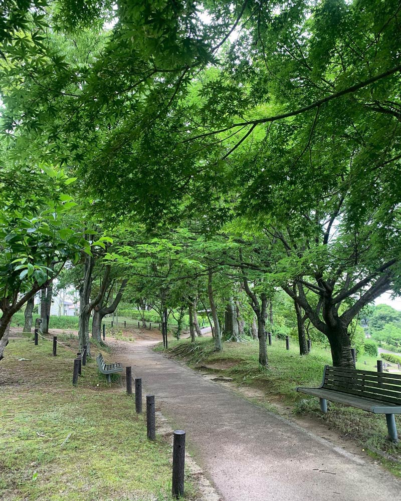 竹取公園