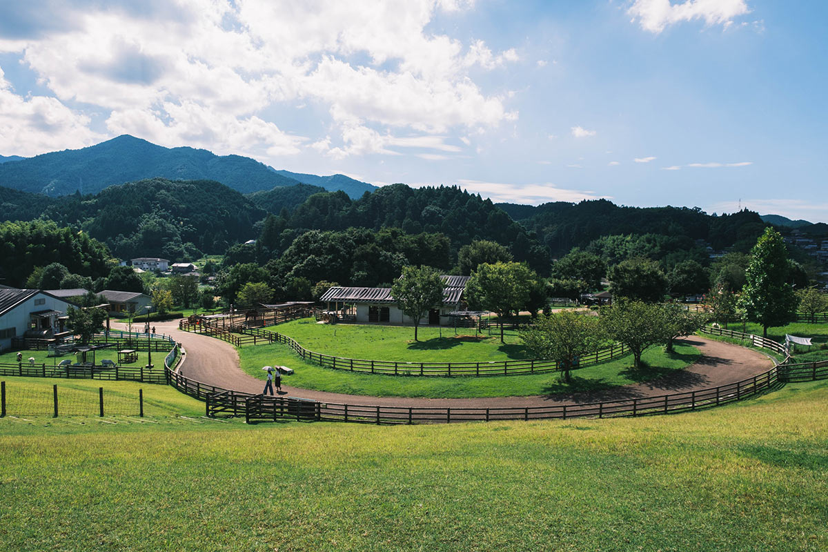 うだアニマルパーク