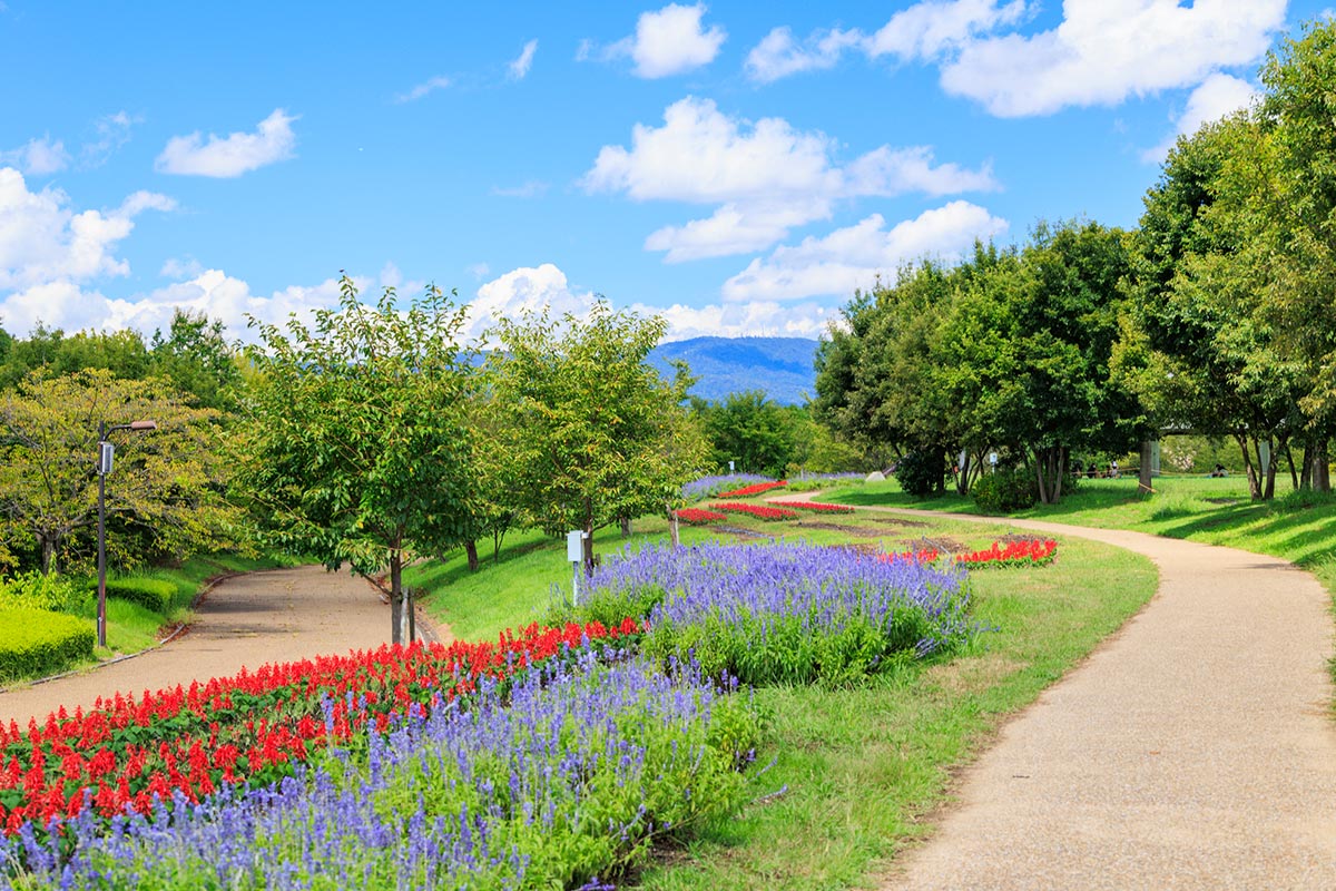 奈良のピクニックスポット8選！芝生広場や穴場でのんびりできる公園まとめ