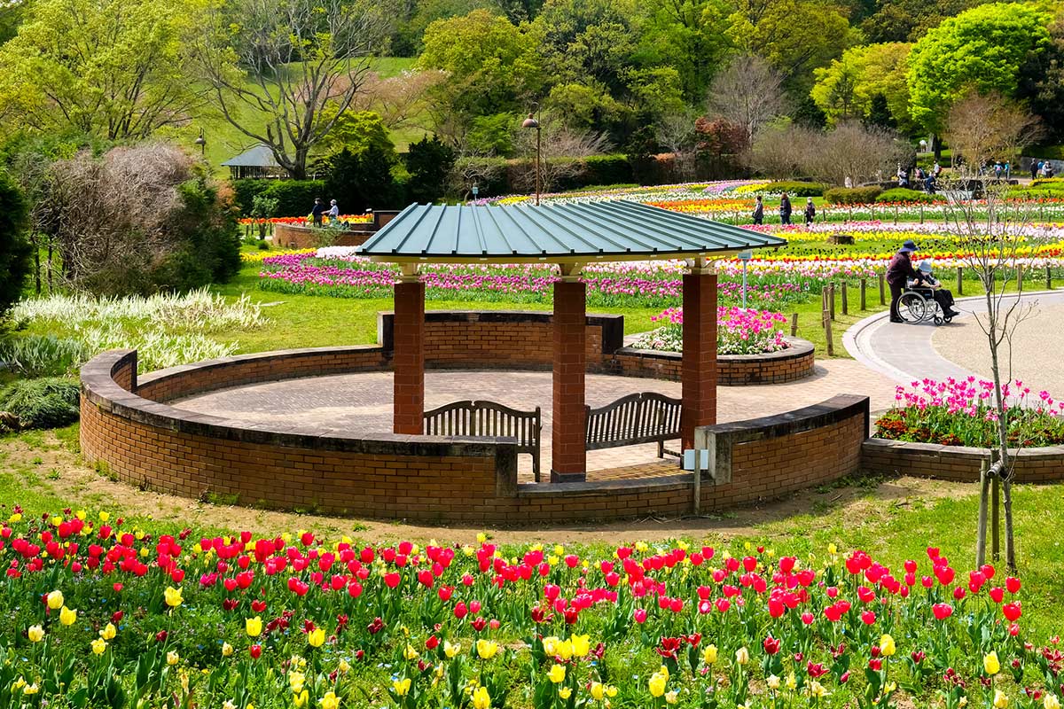 県営馬見丘陵公園