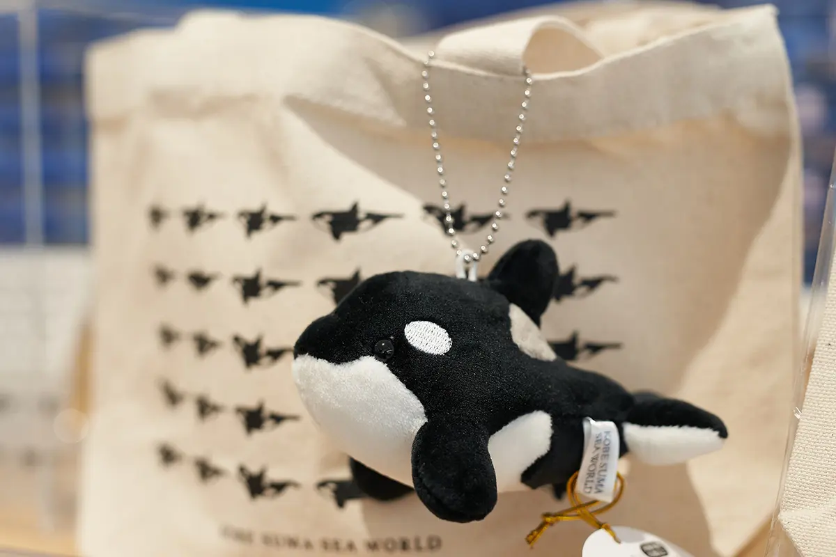 須磨シーワールド シャチ オルカ いるか ぬいぐるみ クジ 限定カラー