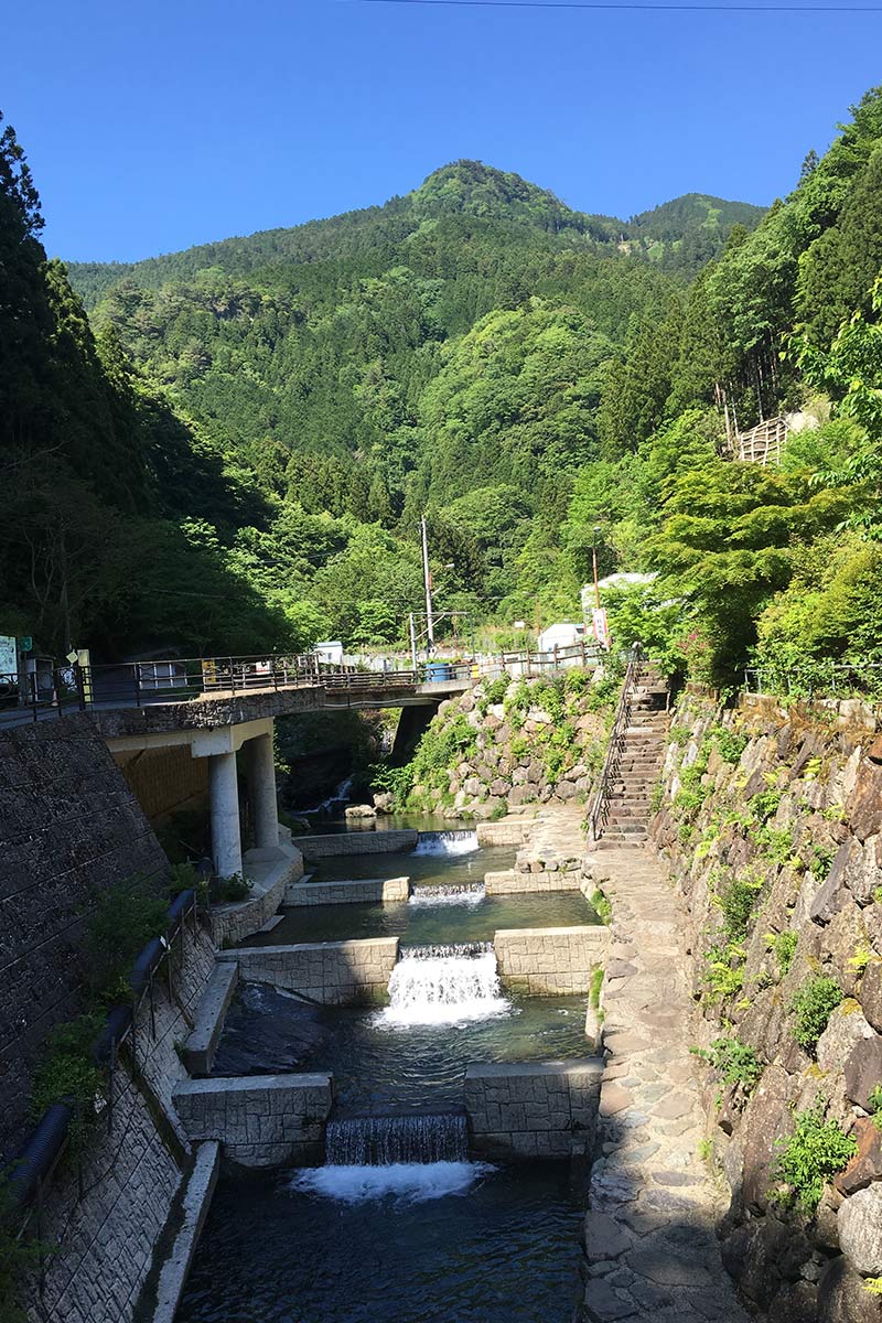 井氷鹿の里もりもり館あまごつかみ