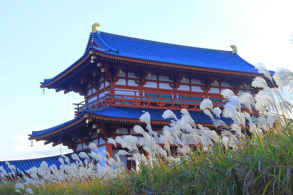 奈良のすすき絶景6選！曽爾高原や葛城山など秋に行きたい名所まとめ 