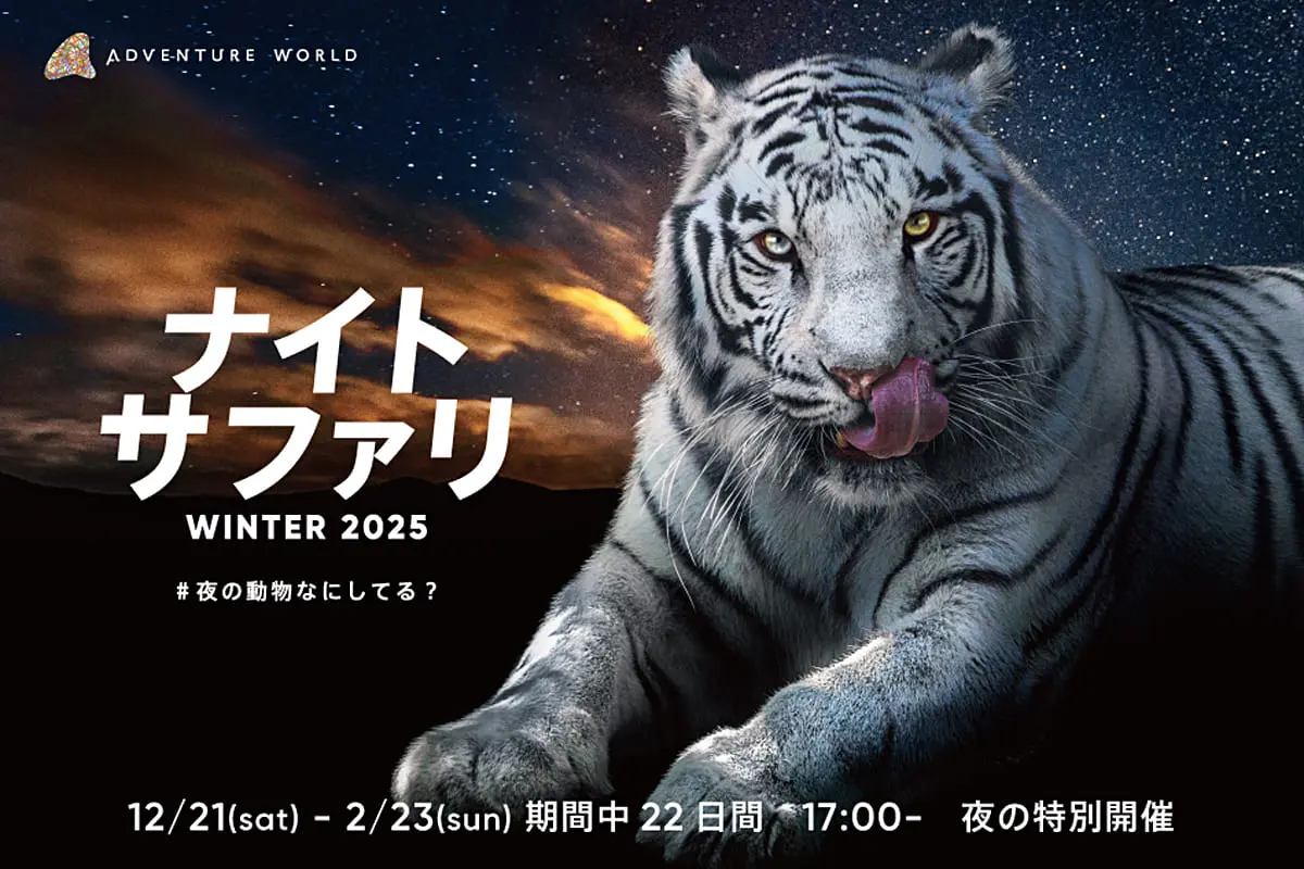 和歌山】期間限定のナイトサファリで、夜のペンギンを観察するツアー