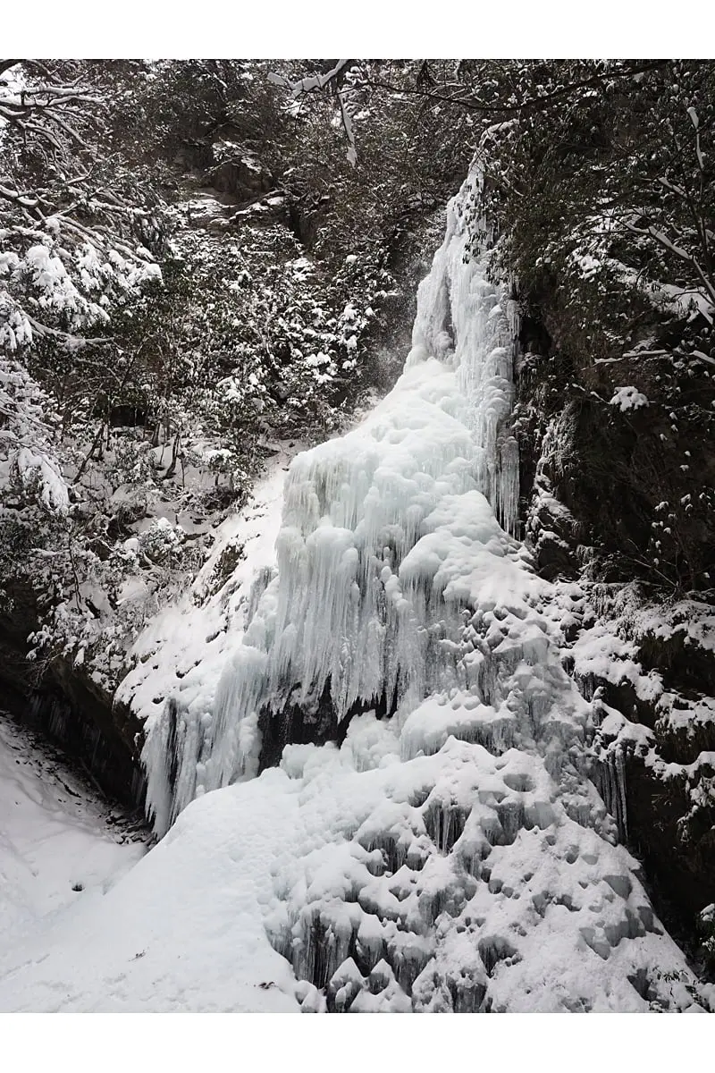奈良で冬の絶景を！木々が白く染まる「霧氷」＆滝がそのまま凍った「氷