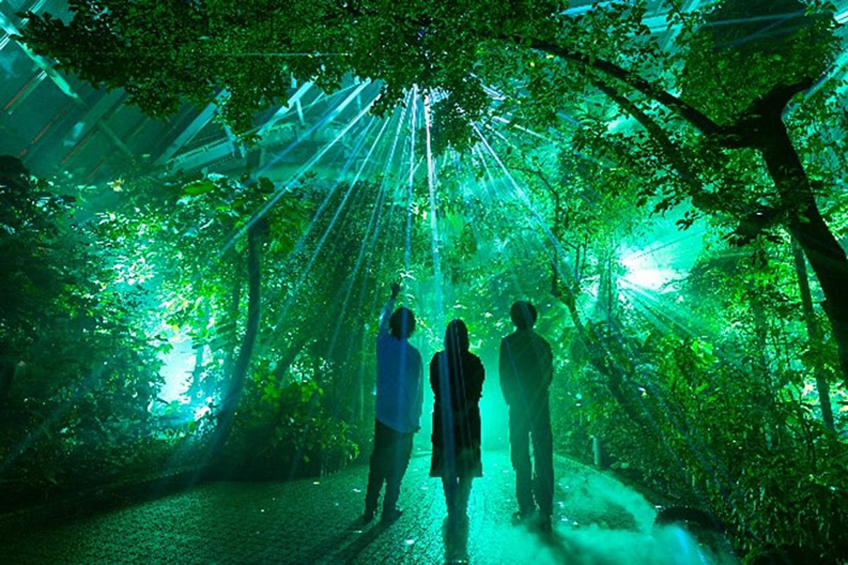 【京都・北山】夜の植物園「観覧温室」で光と音の没入型アートイベント開催