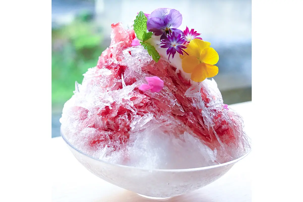 ふわふわ食感が話題！立山の雪解け水で作るかき氷が大阪・住吉に
