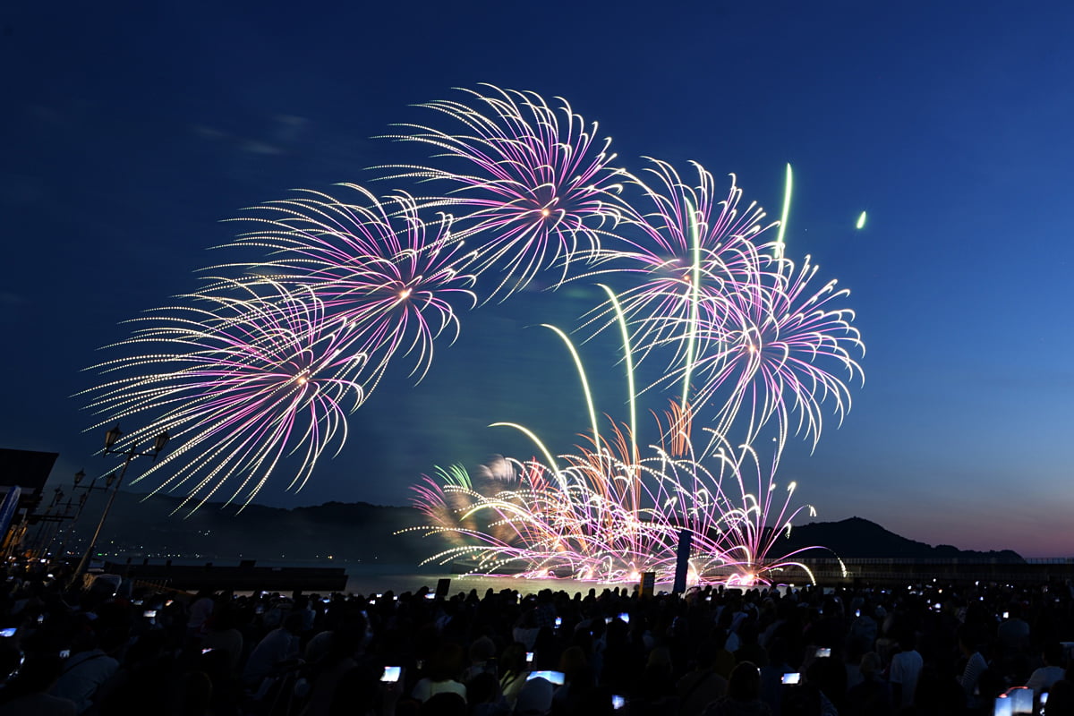 花火と世界の魚グルメで夏満喫！和歌山マリーナシティでイベント開催
