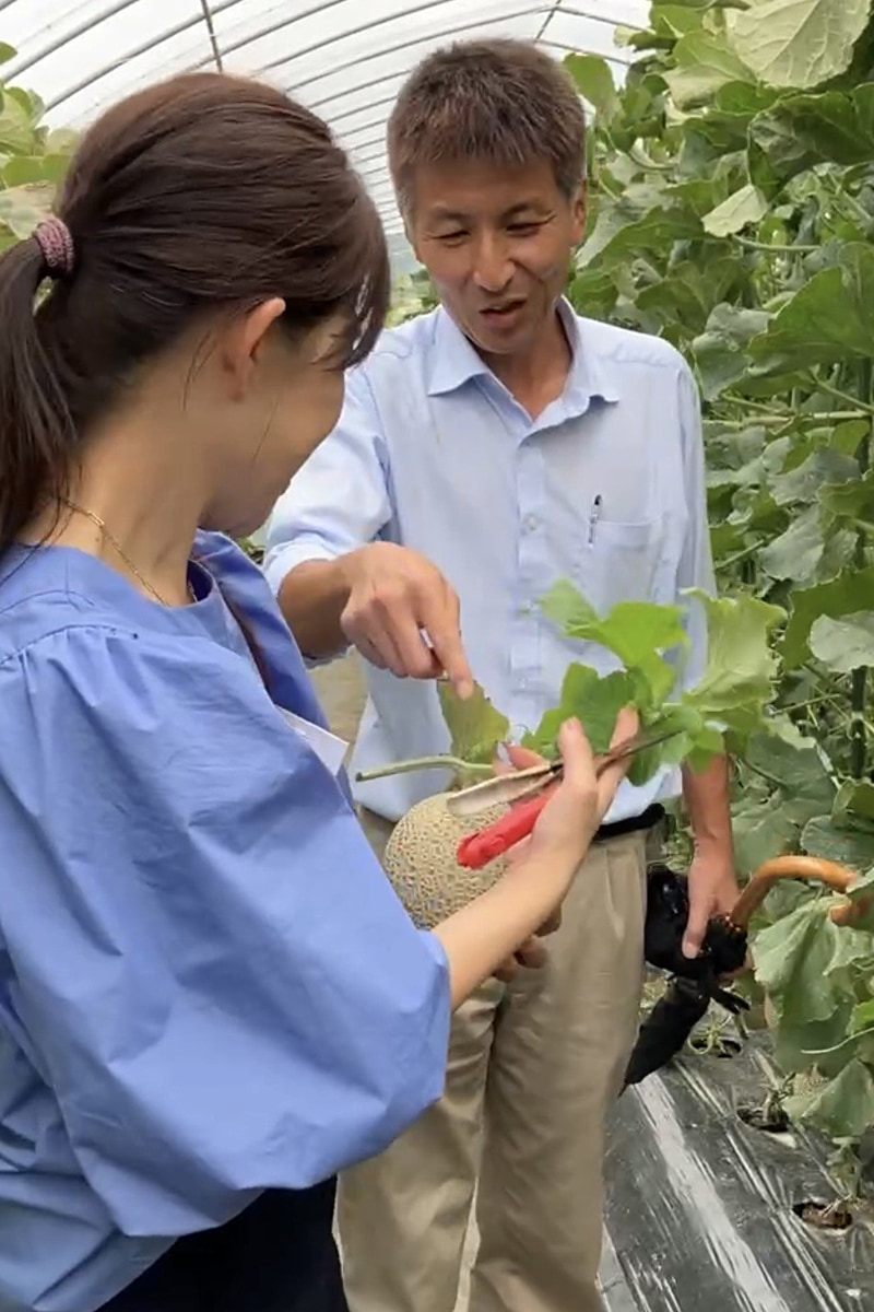 近畿大学農学部農業生産科学科の野々村照雄教授