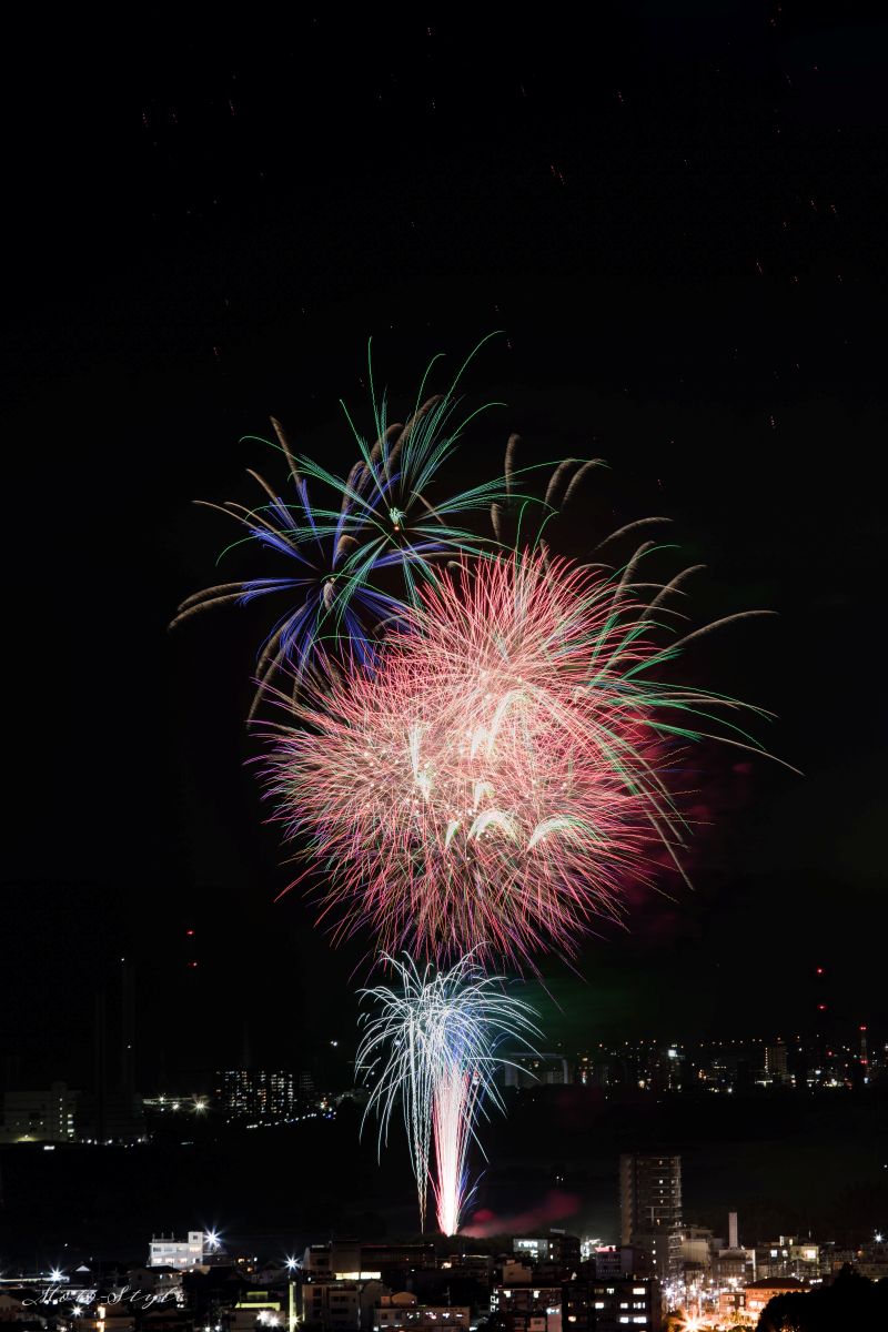 第3回水都くらわんか花火大会の花火