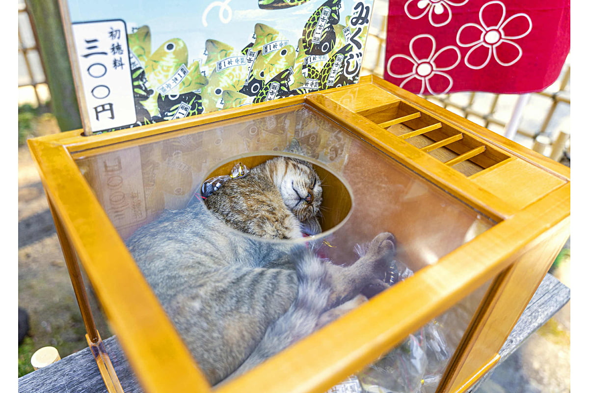 あっきーの作品