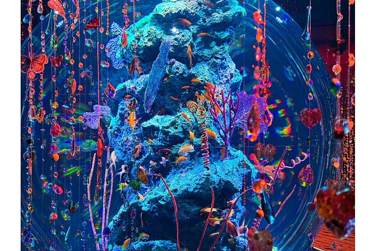 球体水槽のイメージ