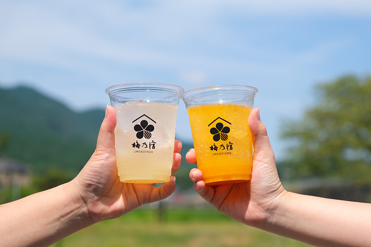 限定酒の販売や蔵見学も楽しめる！奈良「梅乃宿蔵開き」10月開催