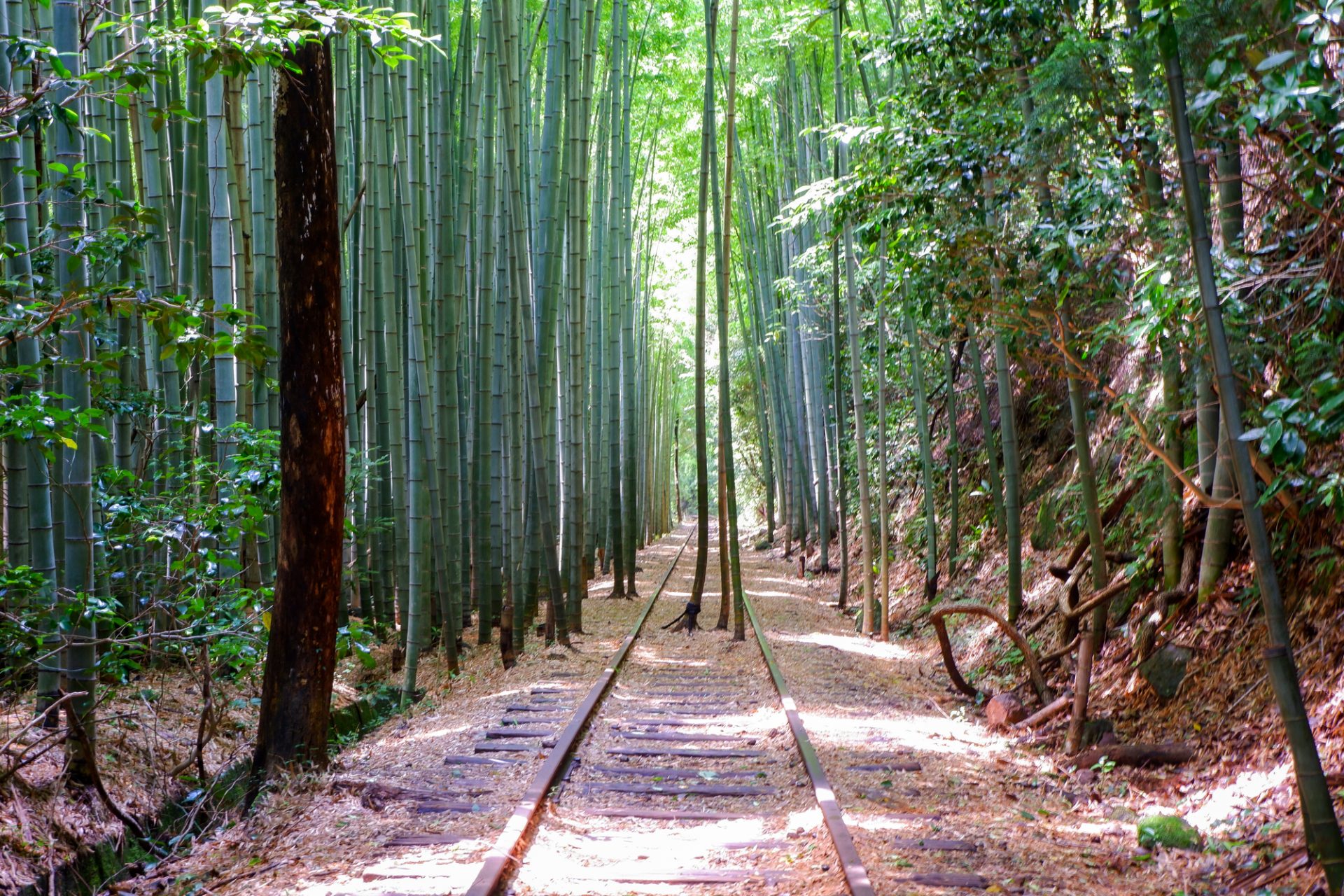 旧国鉄倉吉線廃線跡