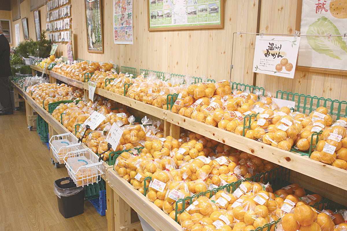 みかん売場