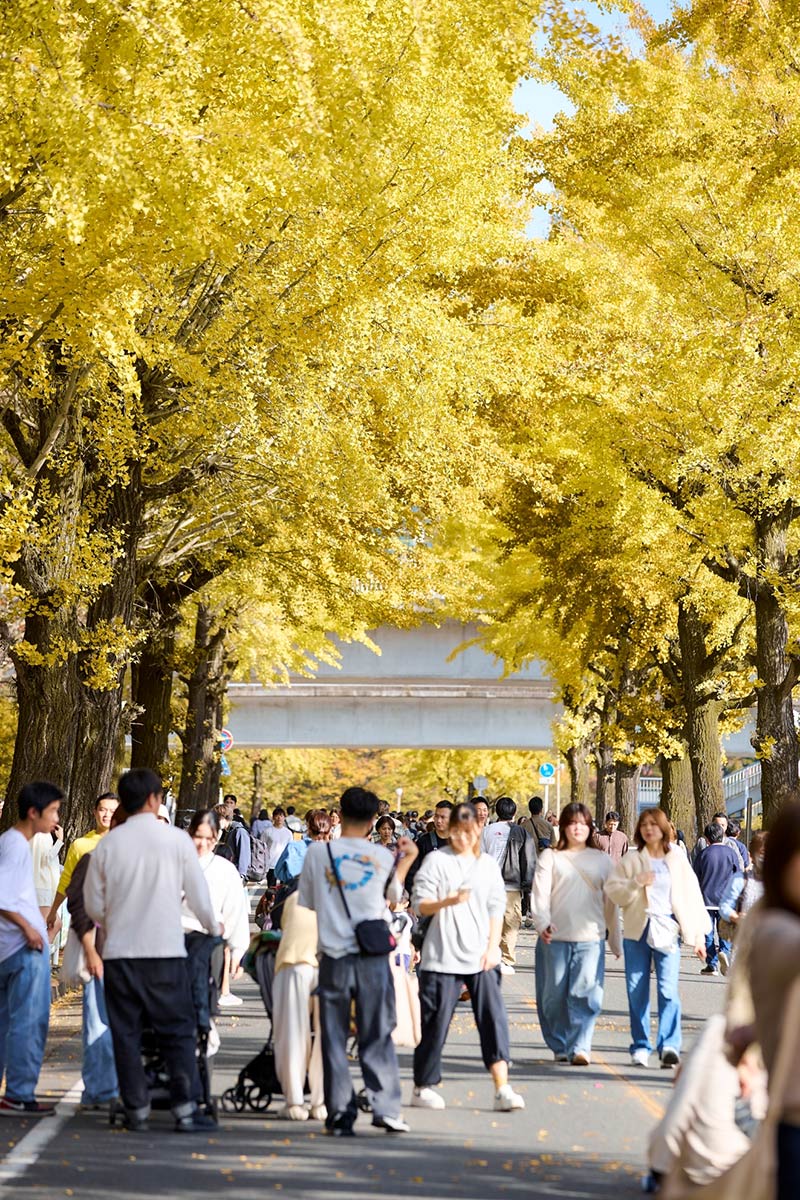 ほこてんり歩行者天国