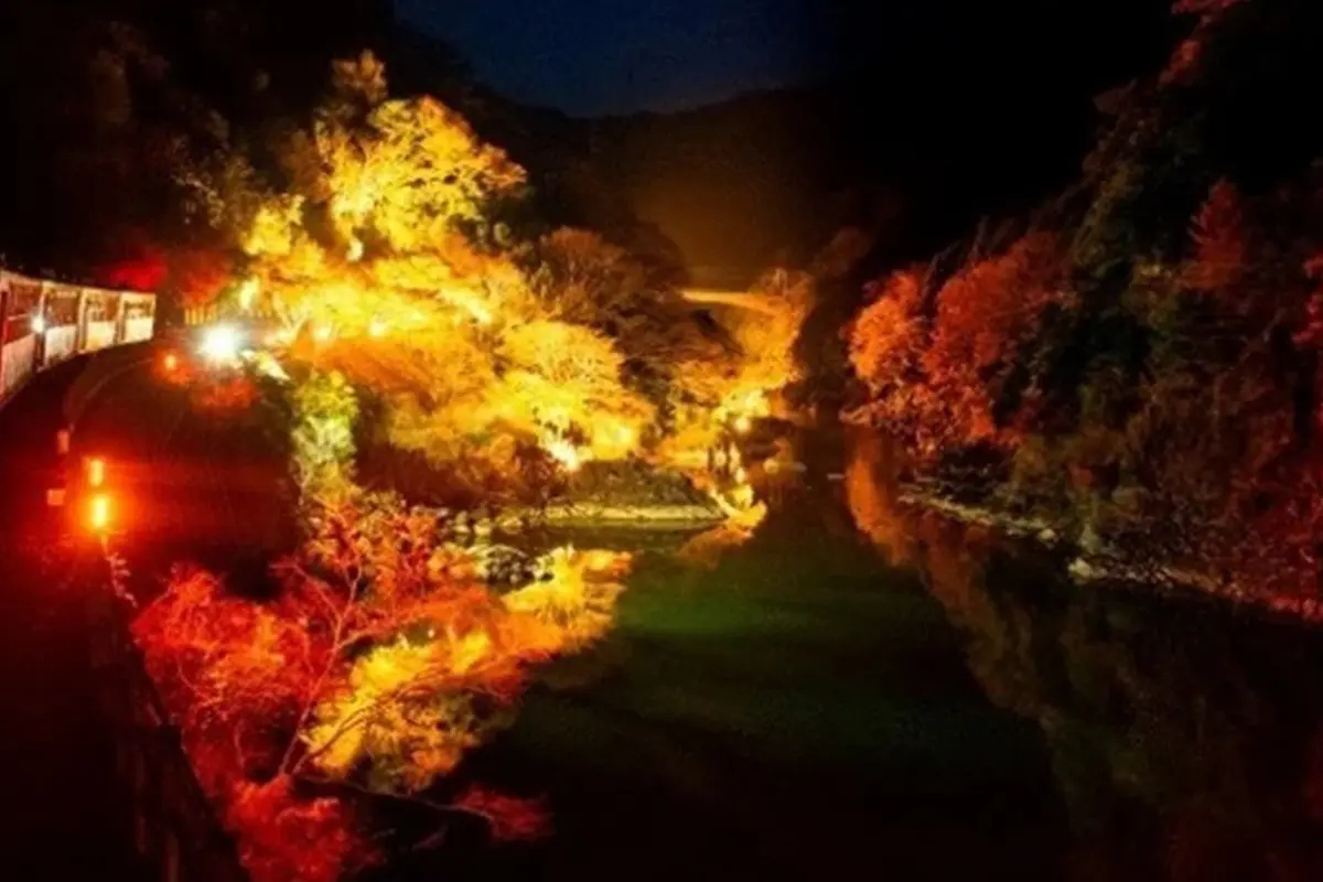 きらめく嵯峨野の夜を走る！京都トロッコ列車「光の幻想列車」期間限定