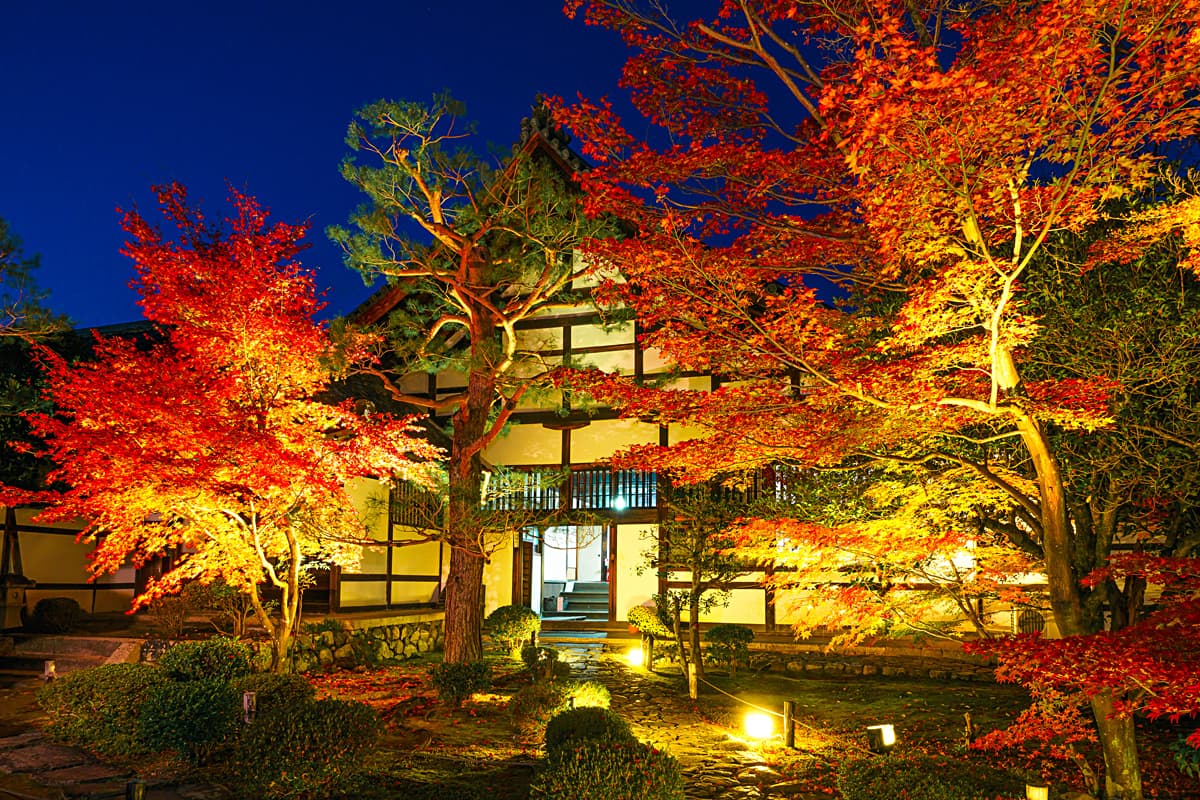 鹿王院の紅葉ライトアップ