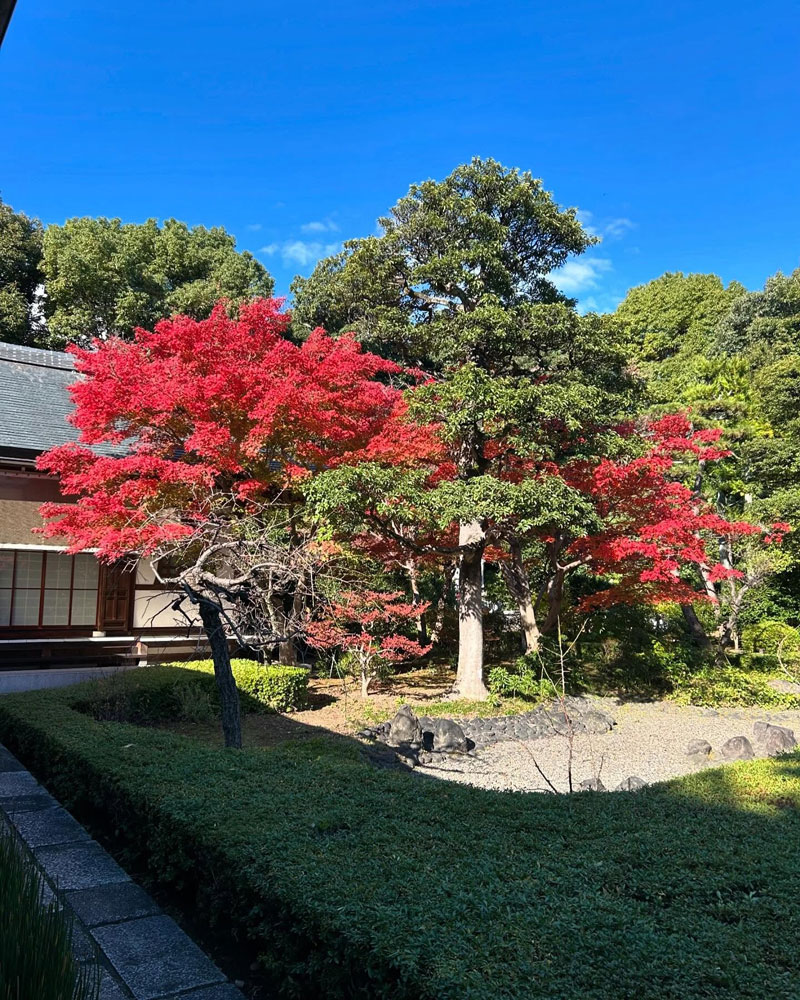 普門寺の紅葉