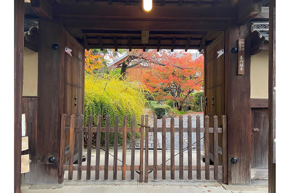 普門寺の門と紅葉