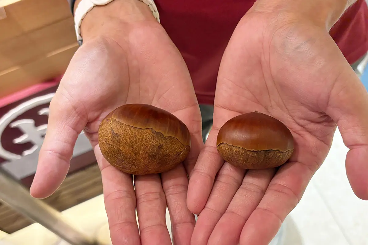 高知発「四万十ドラマ」が阪神梅田本店に初出店！絶品モンブランを実食