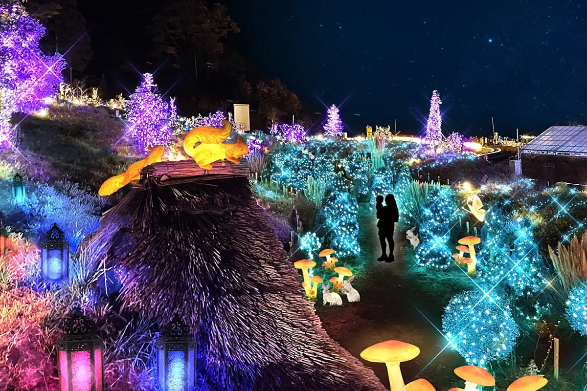 きらめく光の庭園！ローザンベリー多和田で関西最大級の