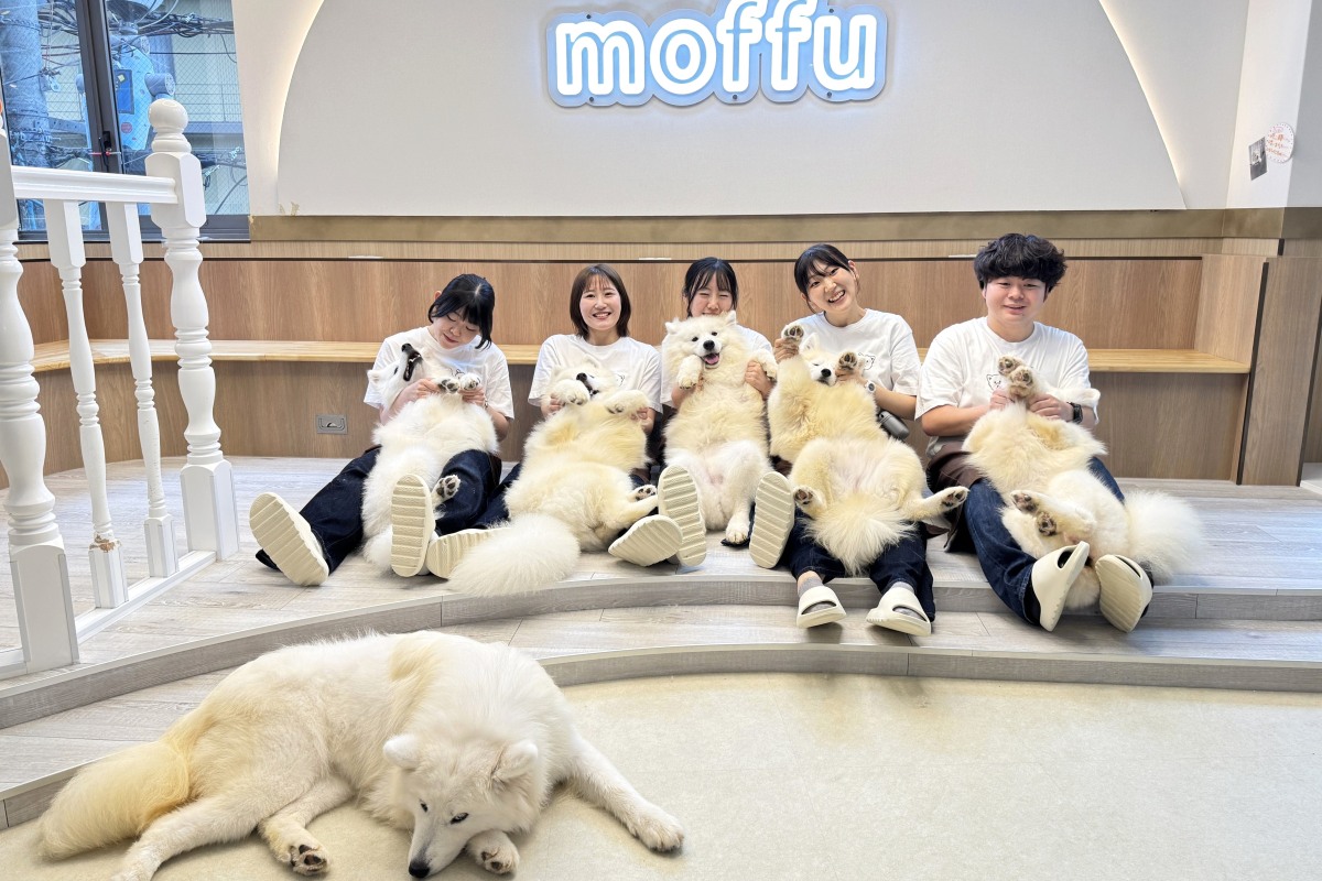 サモエドカフェのスタッフとサモエド