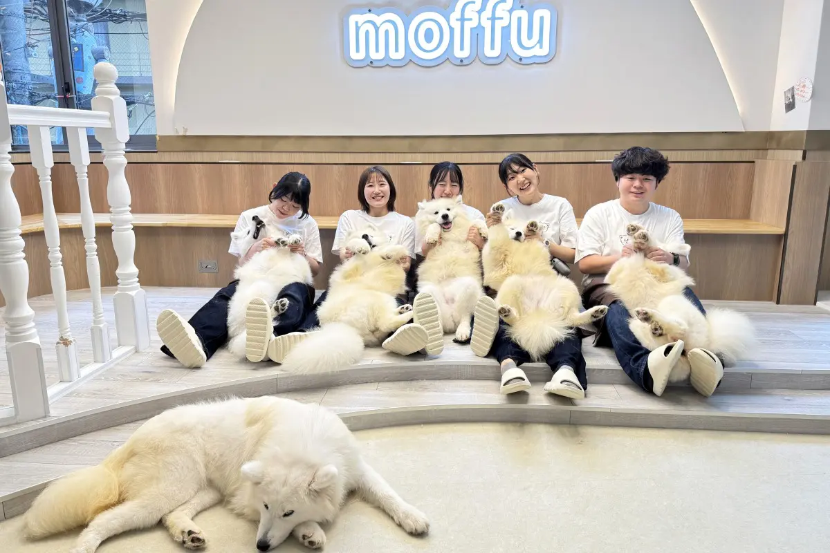 サモエドカフェのスタッフとサモエド