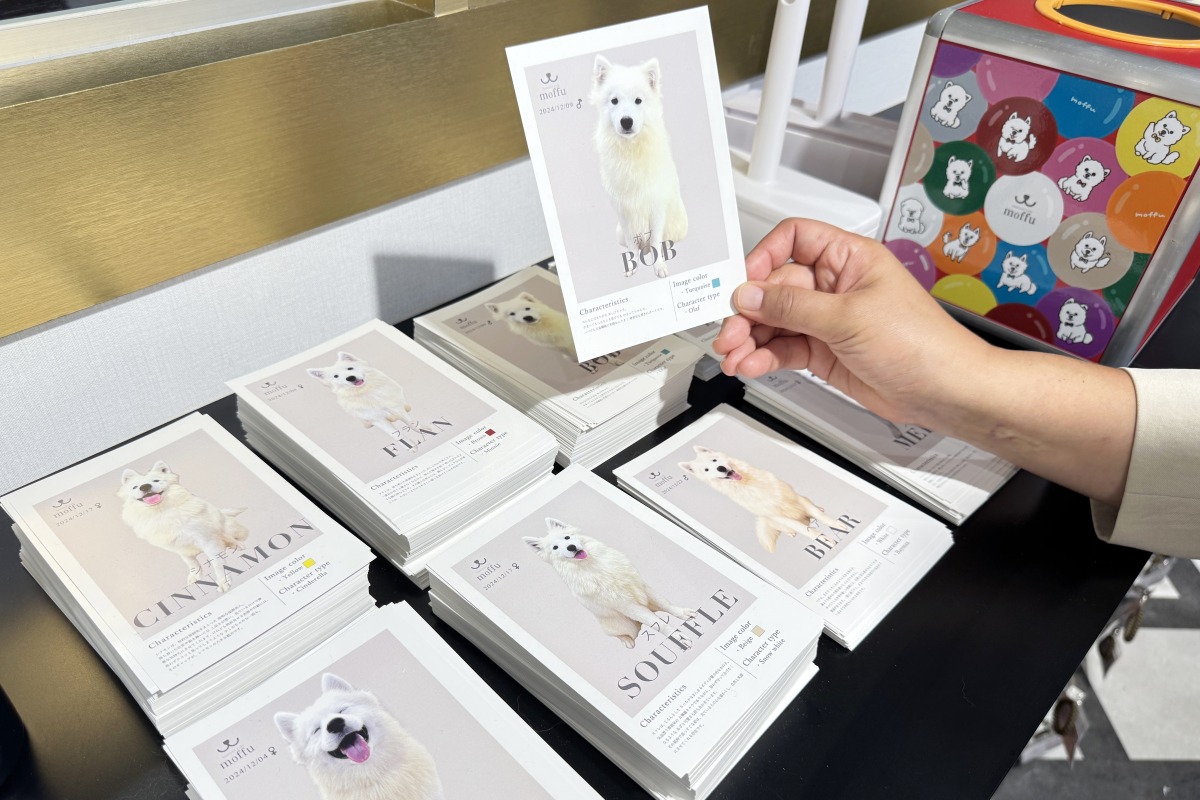 大阪心斎橋のサモエドカフェのポストカード