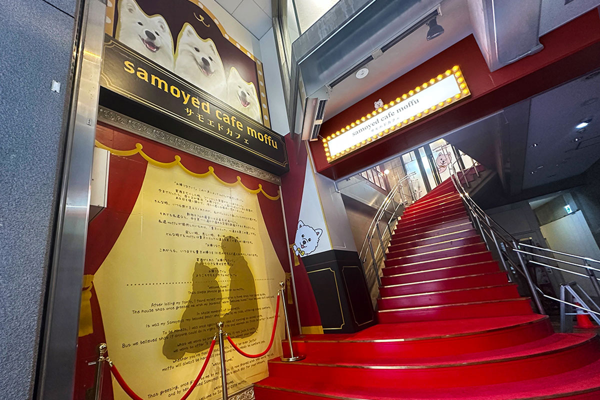 サモエドカフェmoffu大阪心斎橋店の外観