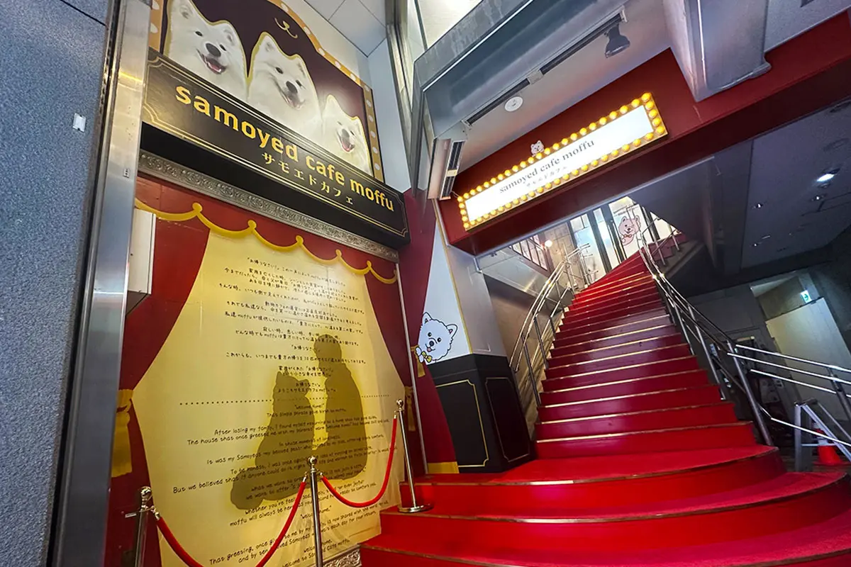 サモエドカフェmoffu大阪心斎橋店の外観