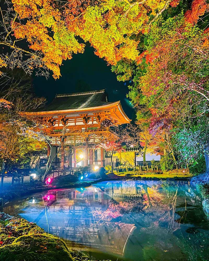 室生寺の紅葉ライトアップ